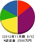 斉藤電気 貸借対照表 2012年11月期