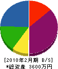 柳田電気水道工事店 貸借対照表 2010年2月期
