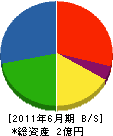 川之江土建産 貸借対照表 2011年6月期