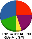 角杉電業 貸借対照表 2012年12月期