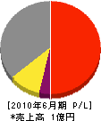 田邊工務店 損益計算書 2010年6月期