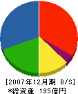 荏原実業 貸借対照表 2007年12月期