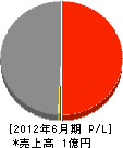 大阪海洋潜水事業（同） 損益計算書 2012年6月期