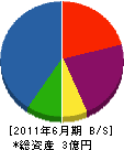 中島組 貸借対照表 2011年6月期