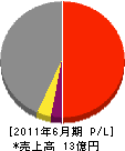 トータスエンジニアリング 損益計算書 2011年6月期