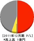 須＊芳広 損益計算書 2011年12月期