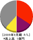 村田組 損益計算書 2009年9月期