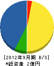 辻村工業所 貸借対照表 2012年9月期