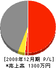 坂井工業 損益計算書 2008年12月期