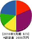 関城電気工業 貸借対照表 2010年9月期