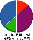 枝川建設 貸借対照表 2010年3月期
