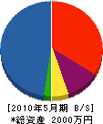 大山電機 貸借対照表 2010年5月期