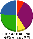 長谷川電製工 貸借対照表 2011年5月期