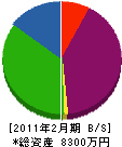 田辺工業 貸借対照表 2011年2月期