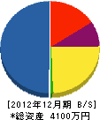 西澤電工 貸借対照表 2012年12月期