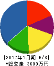 陽電社 貸借対照表 2012年1月期