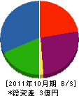 斎庄設備 貸借対照表 2011年10月期