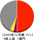 松井組工建 損益計算書 2009年12月期
