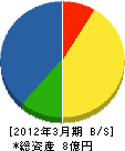 武蔵産業 貸借対照表 2012年3月期