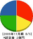 細川建設 貸借対照表 2009年11月期