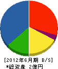 岩川組 貸借対照表 2012年6月期
