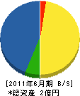 丸井配管工業 貸借対照表 2011年6月期