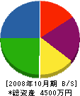 田寺商会 貸借対照表 2008年10月期
