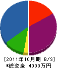 セイケン塗装 貸借対照表 2011年10月期