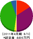 亀山工業 貸借対照表 2011年4月期