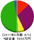 徳永組 貸借対照表 2011年6月期