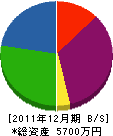 坂川組 貸借対照表 2011年12月期