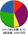 樋ノ口建設 貸借対照表 2011年6月期