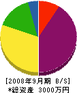 雲田工務店 貸借対照表 2008年9月期