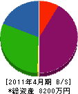 大沢造園 貸借対照表 2011年4月期