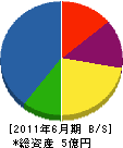 竹田組 貸借対照表 2011年6月期