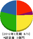 日本綜合産業 貸借対照表 2012年3月期