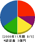 小寺土建 貸借対照表 2008年11月期