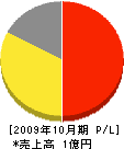 華コーポレーション 損益計算書 2009年10月期