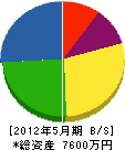 佐藤工業 貸借対照表 2012年5月期