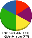 附田設備工業 貸借対照表 2009年3月期