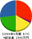 坂本製作所 貸借対照表 2009年8月期