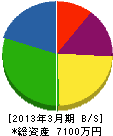 矢島交安システム 貸借対照表 2013年3月期