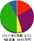 松本電設 貸借対照表 2011年6月期
