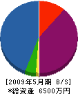 青島建具工業 貸借対照表 2009年5月期