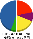 松島園 貸借対照表 2012年5月期