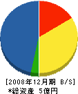 龍田工務店 貸借対照表 2008年12月期