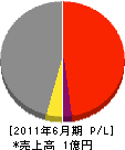 関西工業 損益計算書 2011年6月期