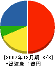 木隆工業 貸借対照表 2007年12月期