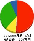 東信 貸借対照表 2012年8月期