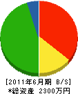 三井建設 貸借対照表 2011年6月期